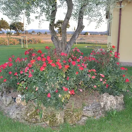 Il Casale Di Famiglia * Montefalco